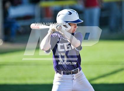 Thumbnail 2 in JV: Crane @ Tornillo photogallery.