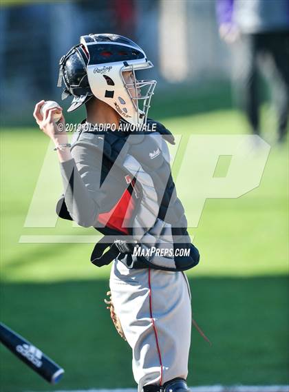 Thumbnail 3 in JV: Crane @ Tornillo photogallery.