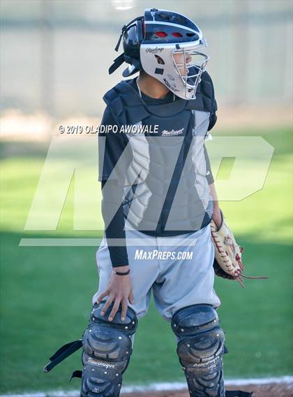 Thumbnail 2 in JV: Crane @ Tornillo photogallery.