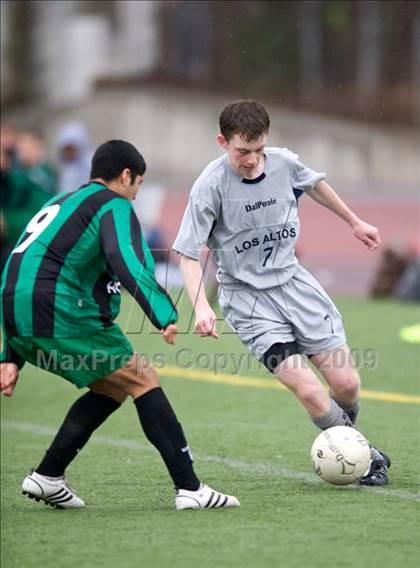 Thumbnail 3 in Homestead @ Los Altos photogallery.