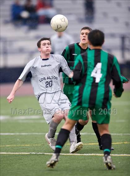 Thumbnail 2 in Homestead @ Los Altos photogallery.