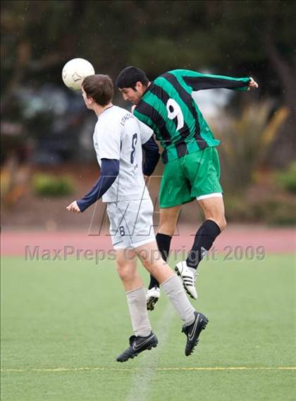 Thumbnail 3 in Homestead @ Los Altos photogallery.