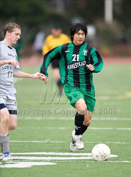 Thumbnail 1 in Homestead @ Los Altos photogallery.