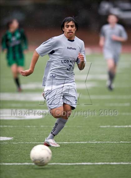 Thumbnail 3 in Homestead @ Los Altos photogallery.