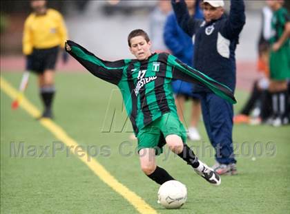 Thumbnail 3 in Homestead @ Los Altos photogallery.