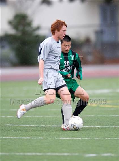 Thumbnail 1 in Homestead @ Los Altos photogallery.