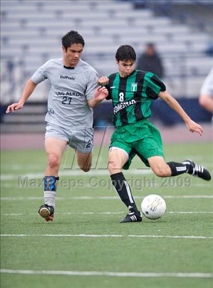 Thumbnail 3 in Homestead @ Los Altos photogallery.
