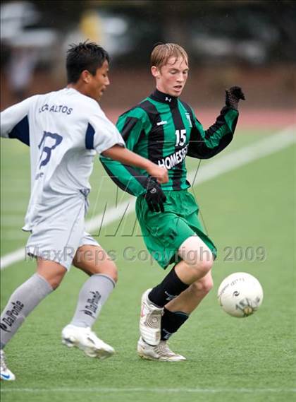 Thumbnail 1 in Homestead @ Los Altos photogallery.