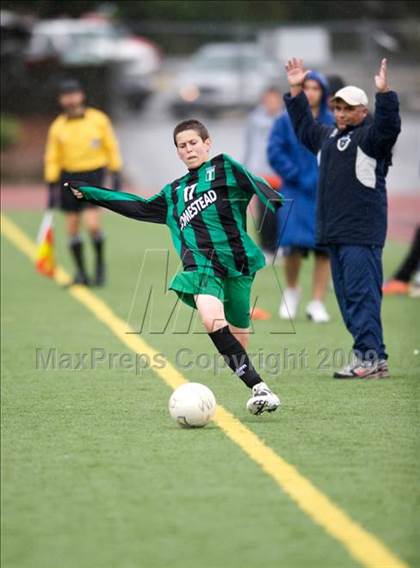 Thumbnail 2 in Homestead @ Los Altos photogallery.