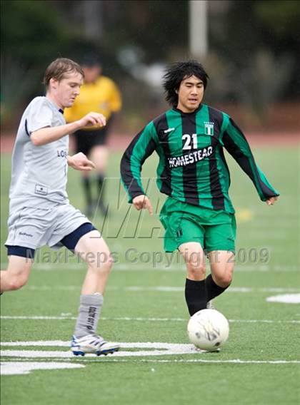 Thumbnail 2 in Homestead @ Los Altos photogallery.
