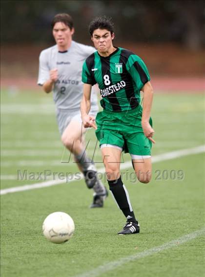Thumbnail 3 in Homestead @ Los Altos photogallery.