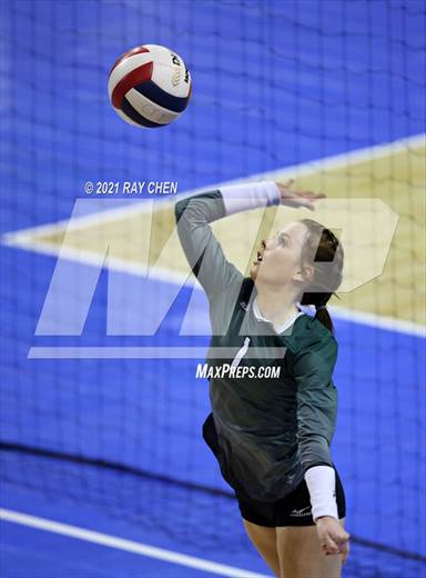 null - Photo 21