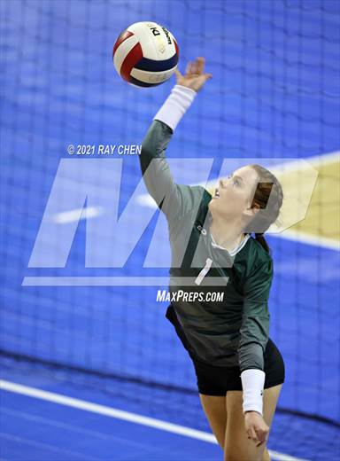 null - Photo 01