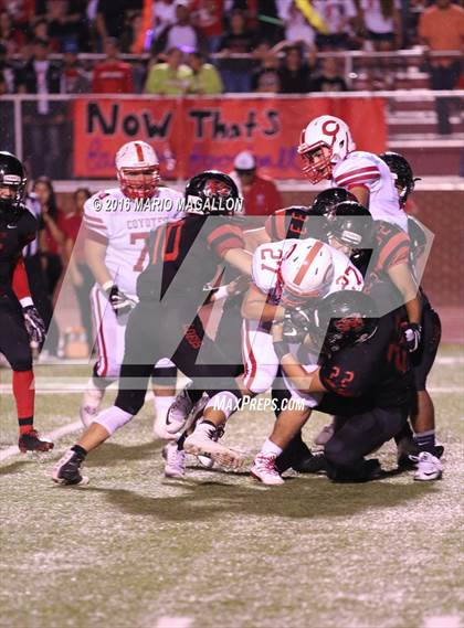 Thumbnail 2 in La Joya @ Palmview photogallery.