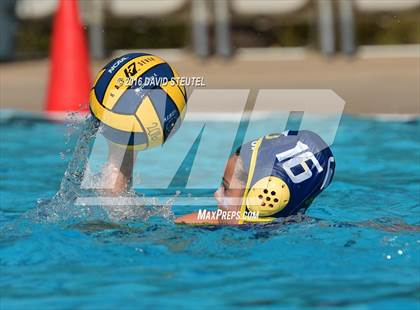 Thumbnail 3 in Woodcreek @ Oak Ridge photogallery.