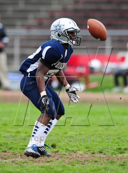 Thumbnail 1 in Xavier @ Hillhouse photogallery.