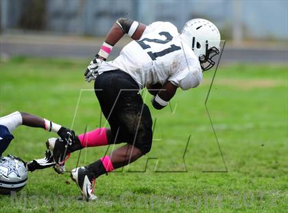 Thumbnail 3 in Xavier @ Hillhouse photogallery.