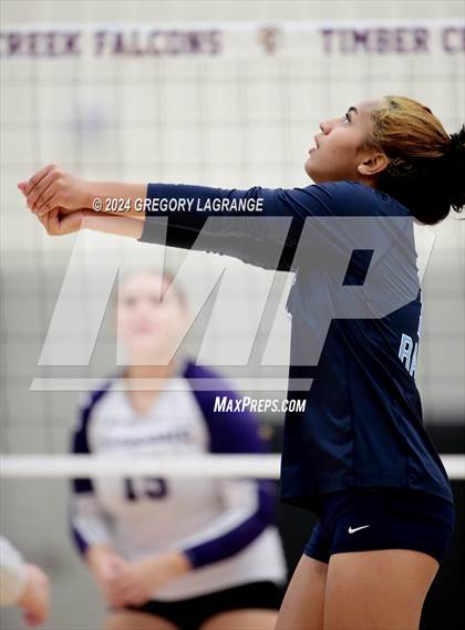 Thumbnail 1 in Bell vs Timber Creek photogallery.
