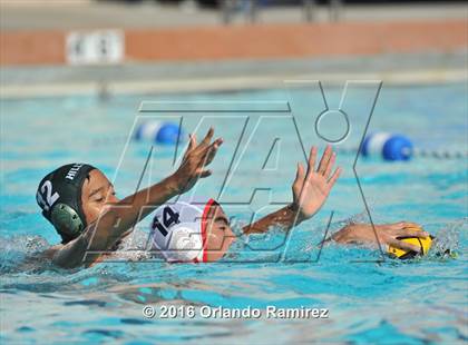 Thumbnail 2 in Olympian @ Hilltop photogallery.