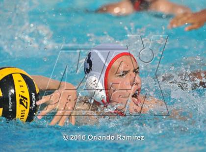 Thumbnail 3 in Olympian @ Hilltop photogallery.
