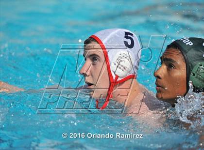 Thumbnail 3 in Olympian @ Hilltop photogallery.