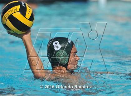 Thumbnail 3 in Olympian @ Hilltop photogallery.