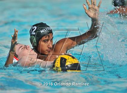 Thumbnail 1 in Olympian @ Hilltop photogallery.