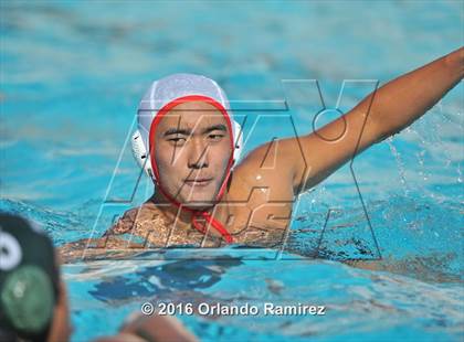 Thumbnail 2 in Olympian @ Hilltop photogallery.