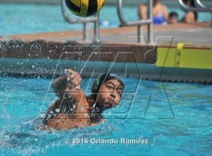 Thumbnail 2 in Olympian @ Hilltop photogallery.