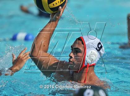 Thumbnail 1 in Olympian @ Hilltop photogallery.
