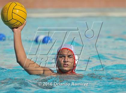 Thumbnail 1 in Olympian @ Hilltop photogallery.