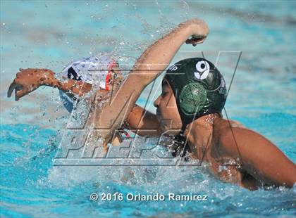 Thumbnail 1 in Olympian @ Hilltop photogallery.
