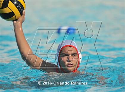 Thumbnail 3 in Olympian @ Hilltop photogallery.