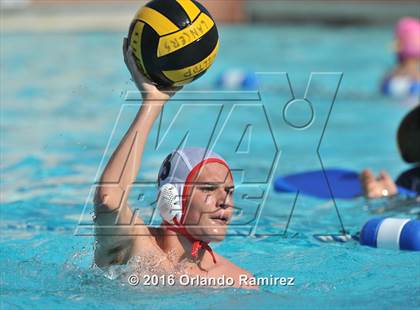 Thumbnail 3 in Olympian @ Hilltop photogallery.