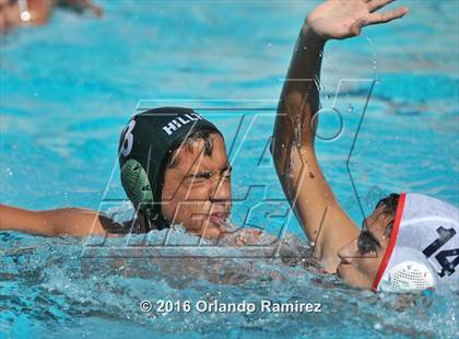 Thumbnail 2 in Olympian @ Hilltop photogallery.