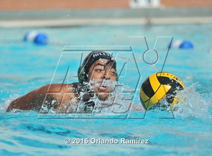 Thumbnail 2 in Olympian @ Hilltop photogallery.