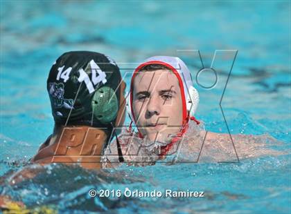 Thumbnail 2 in Olympian @ Hilltop photogallery.