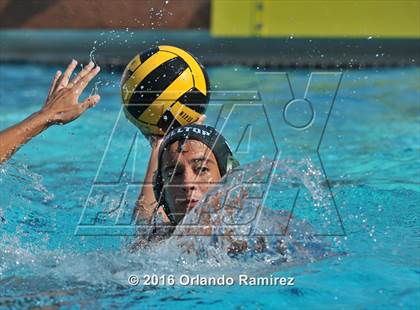 Thumbnail 3 in Olympian @ Hilltop photogallery.