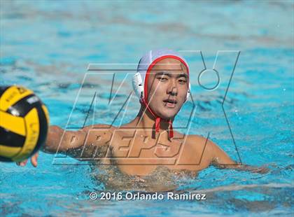 Thumbnail 2 in Olympian @ Hilltop photogallery.