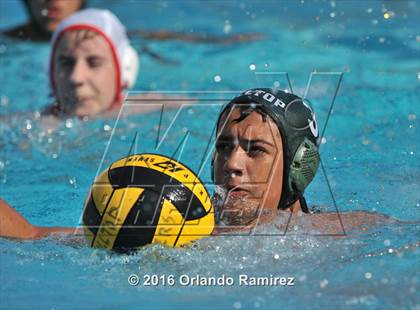 Thumbnail 1 in Olympian @ Hilltop photogallery.