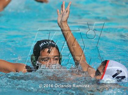 Thumbnail 3 in Olympian @ Hilltop photogallery.