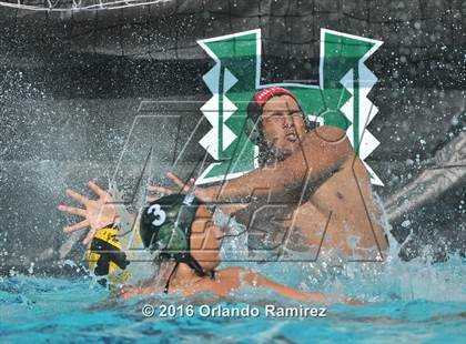 Thumbnail 1 in Olympian @ Hilltop photogallery.