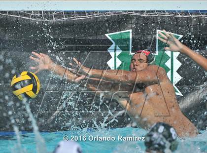 Thumbnail 2 in Olympian @ Hilltop photogallery.