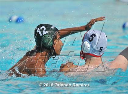 Thumbnail 1 in Olympian @ Hilltop photogallery.