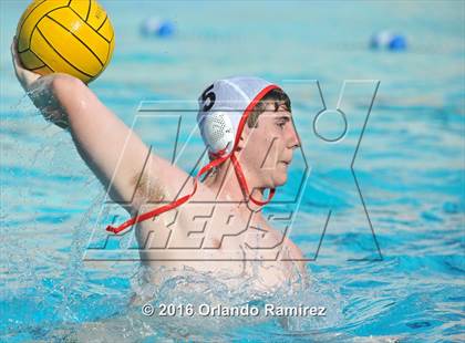 Thumbnail 3 in Olympian @ Hilltop photogallery.