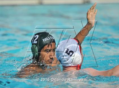 Thumbnail 2 in Olympian @ Hilltop photogallery.