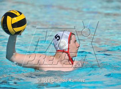 Thumbnail 2 in Olympian @ Hilltop photogallery.