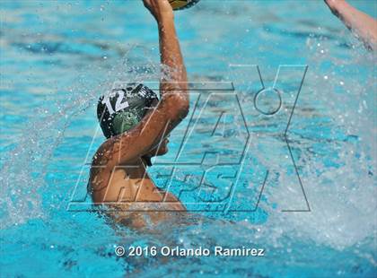 Thumbnail 2 in Olympian @ Hilltop photogallery.