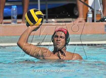 Thumbnail 2 in Olympian @ Hilltop photogallery.