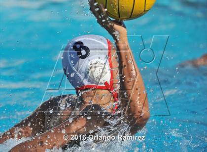 Thumbnail 2 in Olympian @ Hilltop photogallery.
